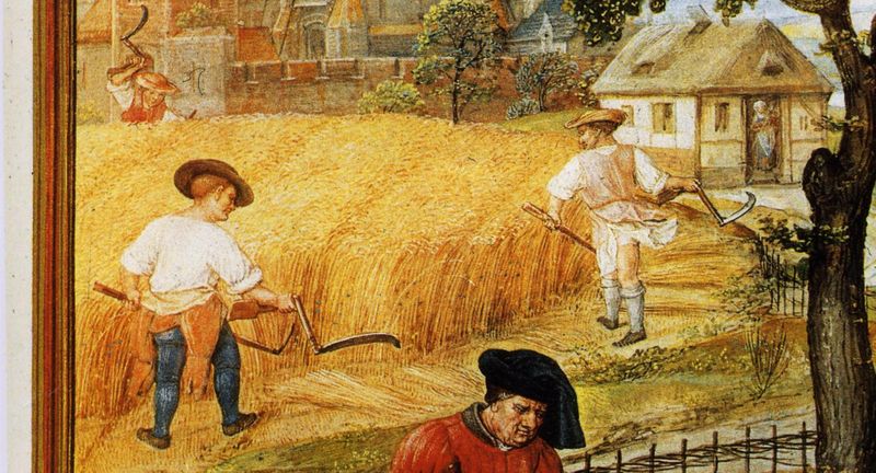 Файл:Grimani lat I-f. 7v.JPG