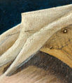 Rogier van der Weyden - Portrait of a Lady - Google Art Project cropped.JPG