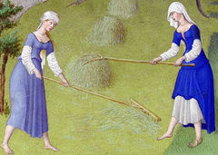 Les Très Riches Heures du duc de Berry juin haymaking.jpg