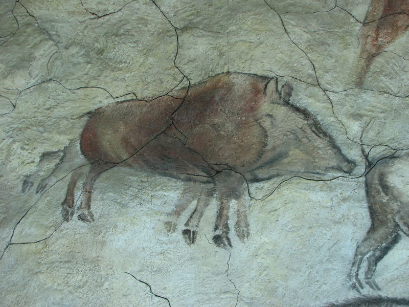 Файл:Altamira, boar.JPG