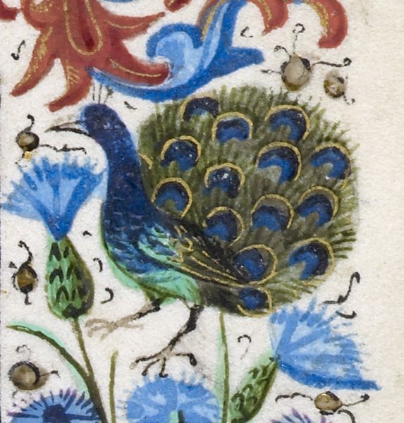 Файл:Harley 2433 f. 81.jpg