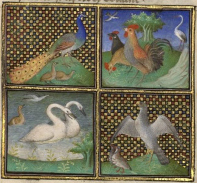 Файл:Français 216, fol. 171(fr).JPG