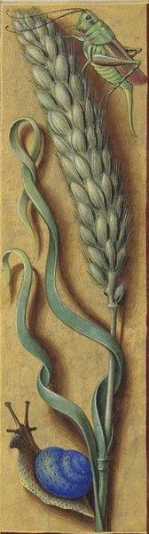 Файл:Latin 9474, 95, ble1.JPG