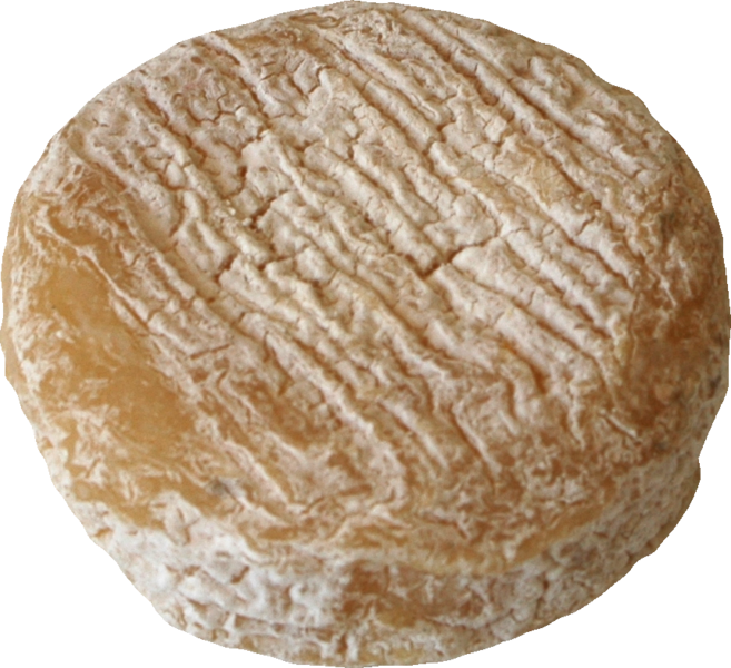 Файл:Cheese-picodon.png