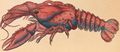 James Sowerby - Serrated Lobster, Cancer serratus 1- Google Art Project.jpg