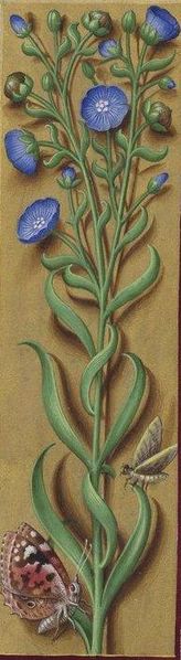 Файл:Latin 9474, f. 74.JPG