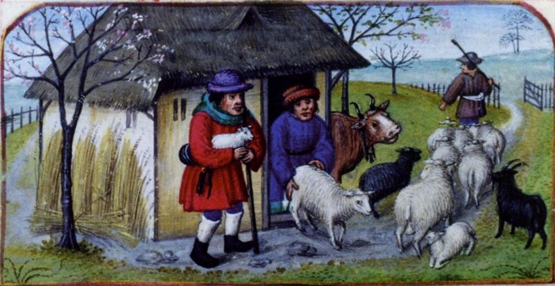 Файл:Depart pour la pature.JPG