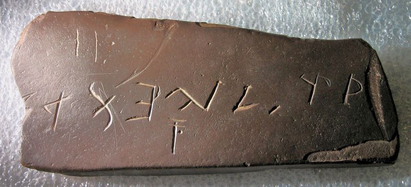 Файл:Bat Creek Exam 5-28-10.JPG