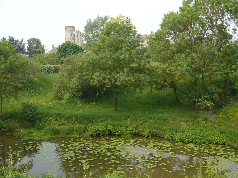 Файл:La Romme coulant face au château de Champtocé.JPG