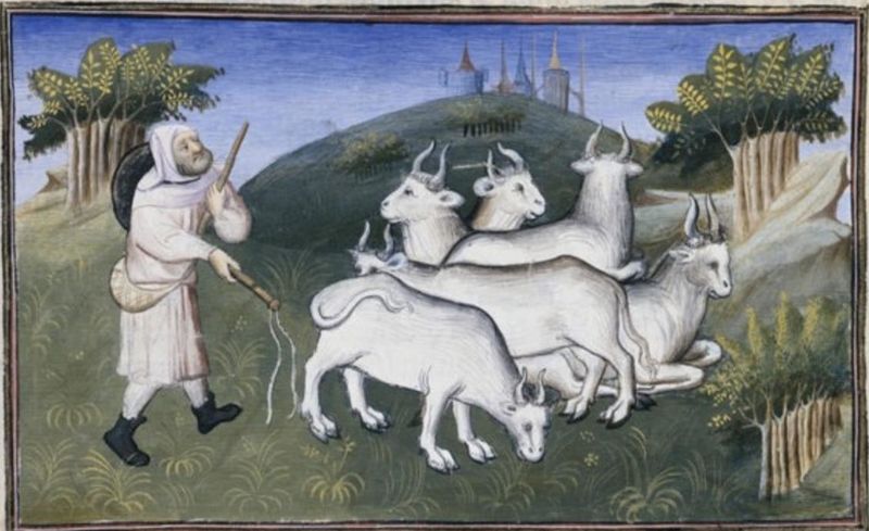 Файл:Français 2810, fol. 30v.JPG